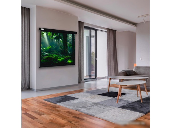 Проекционный экран CACTUS Wallscreen 213x213 CS-PSW-213X213-BK