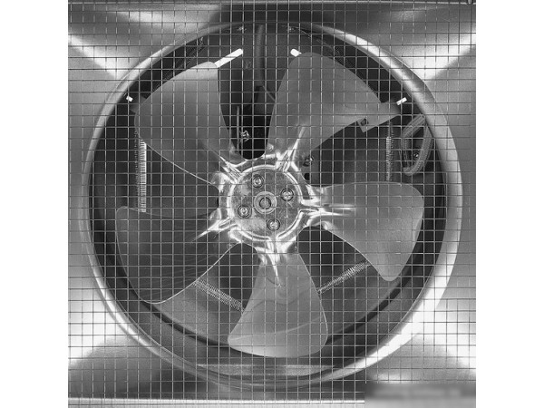 Сушилка для овощей и фруктов Kitfort KT-4931