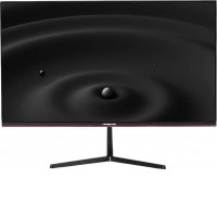 Монитор Гравитон МН24Б