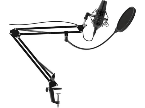 Микрофон Ritmix RDM-180