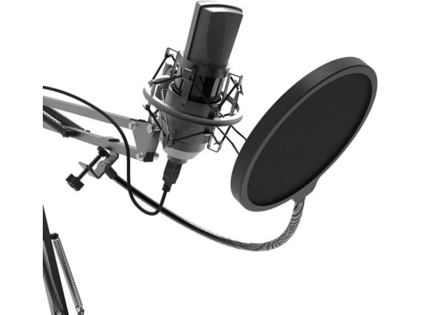 Микрофон Ritmix RDM-180