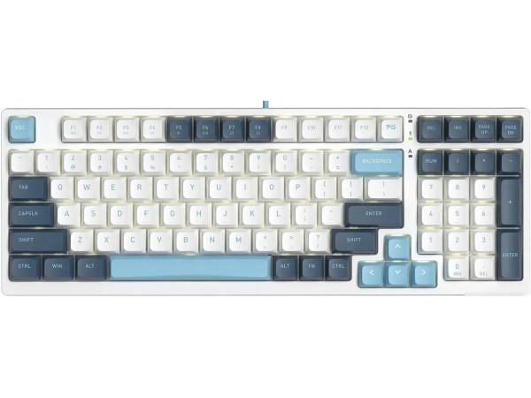 Клавиатура A4Tech Fstyler FS300 Panda Snowboarding