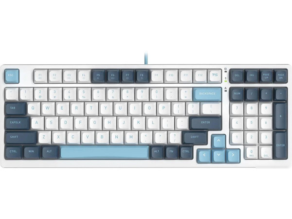 Клавиатура A4Tech Fstyler FS300 Panda Snowboarding