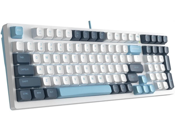 Клавиатура A4Tech Fstyler FS300 Panda Snowboarding