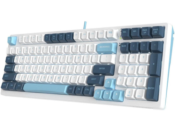 Клавиатура A4Tech Fstyler FS300 Panda Snowboarding