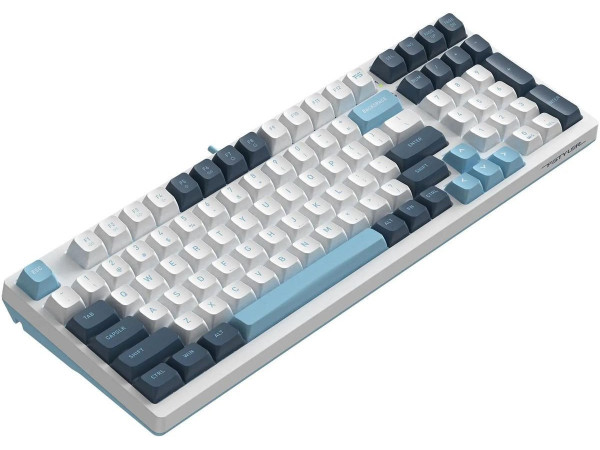 Клавиатура A4Tech Fstyler FS300 Panda Snowboarding