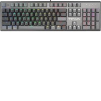 Клавиатура A4Tech Fstyler FS100 Neon (серый/черный)