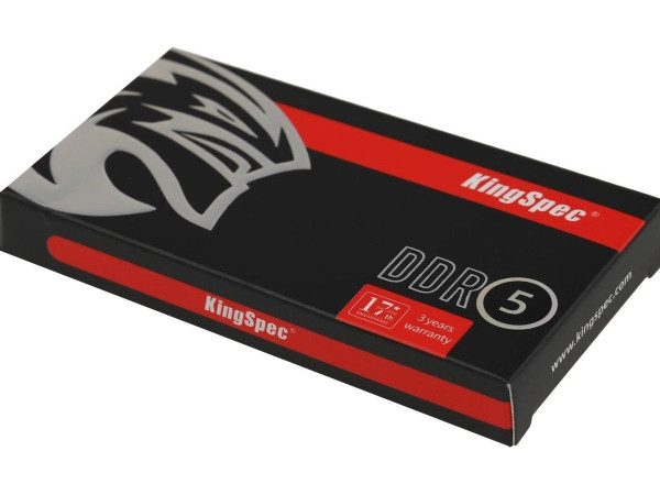 Оперативная память KingSpec 8ГБ DDR5 SODIMM 4800 МГц KS4800D5N11008G
