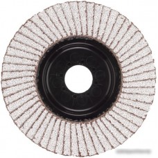 Шлифовальный круг Milwaukee 4932479092