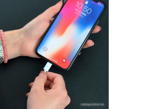 Кабель ZMI AL870 Type-C/Lightning