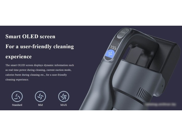 Пылесос Roidmi X300