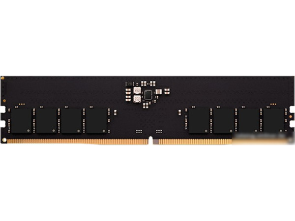 Оперативная память AMD Radeon R5 Entertainment Series 32ГБ DDR5 5600 МГц R5532G5600U2S-U