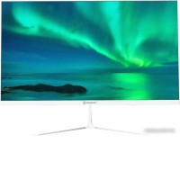 Монитор Raskat I24F10DAW