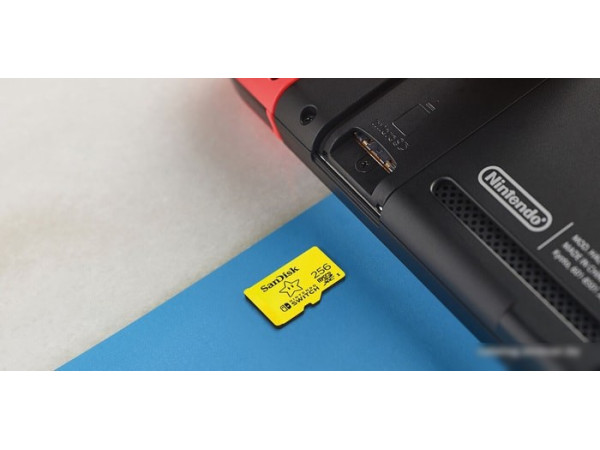 Карта памяти SanDisk For Nintendo Switch microSDXC SDSQXAO-256G-GN3ZN 256GB