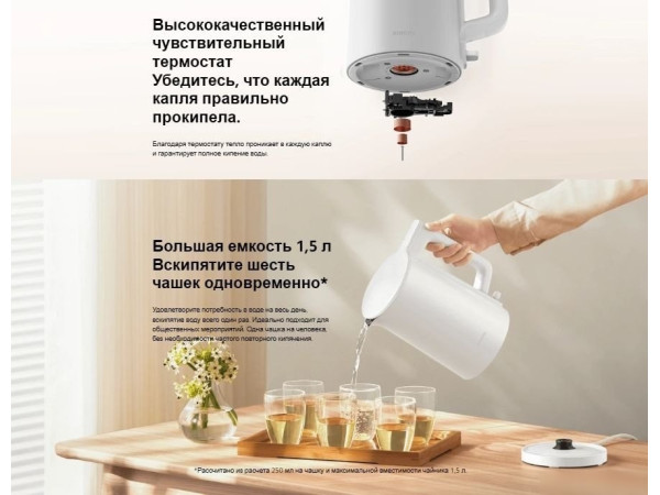 Электрический чайник Xiaomi Electric Kettle 2 Lite MJDSH06-A (евровилка)