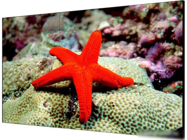 Информационная панель Hikvision DS-D2055LU-Y