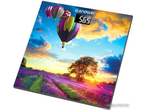 Напольные весы Endever Aurora 551