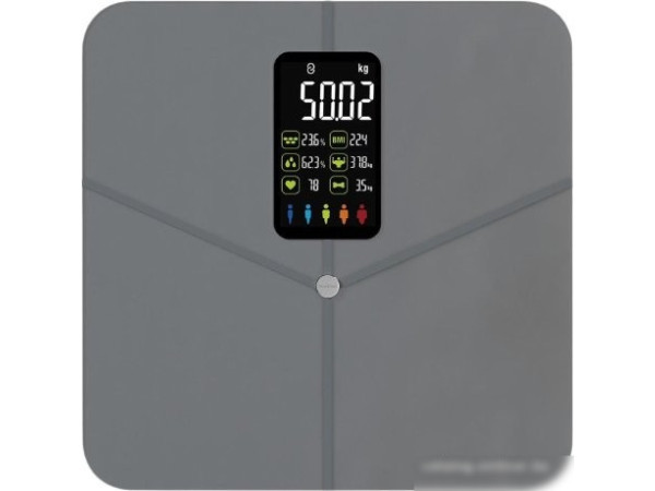 Напольные весы SecretDate Smart SD-IT02CG