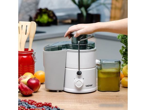 Соковыжималка Zelmer ZJE3800