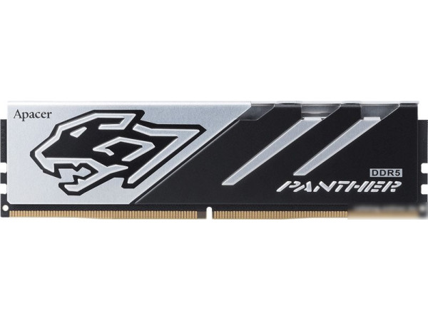 Оперативная память Apacer Panther 16ГБ DDR5 6400 МГц AH5U16G64C5527BAA-1