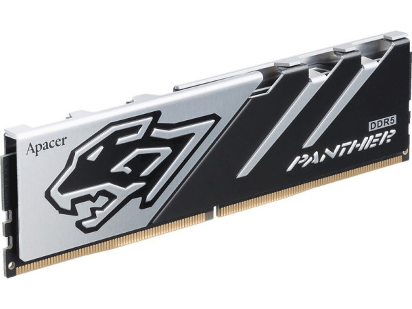 Оперативная память Apacer Panther 16ГБ DDR5 6400 МГц AH5U16G64C5527BAA-1