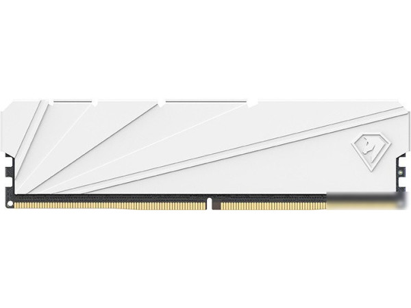 Оперативная память Netac Shadow S 16ГБ DDR4 3200 МГц NTSSD4P32SP-16W