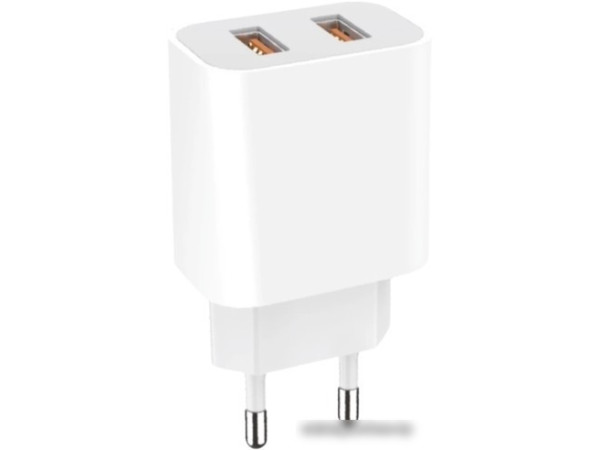 Сетевое зарядное GoPower 00-00018570