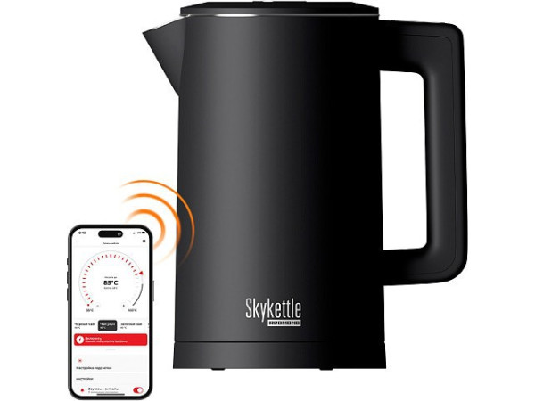 Электрический чайник Redmond SkyKettle KM231S (черный)