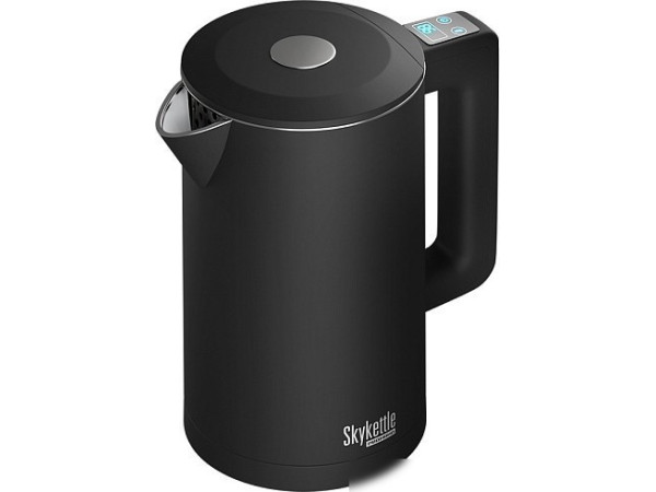 Электрический чайник Redmond SkyKettle KM231S (черный)