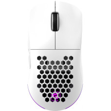 Игровая мышь Oklick 900GMW (белый)