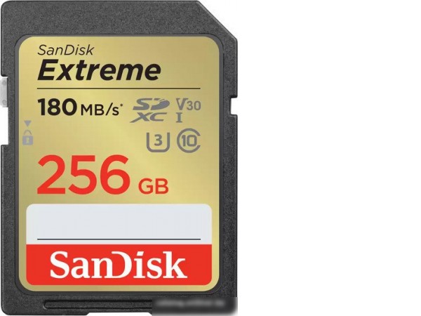 Карта памяти SanDisk Extreme SDXC SDSDXVV-256G-GNCIN 256GB