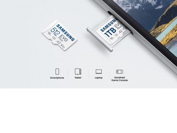 Карта памяти Samsung EVO Plus 2024 microSDXC 64GB (с адаптером)