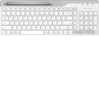 Клавиатура A4Tech Fstyler FBK25 (белый/серый)