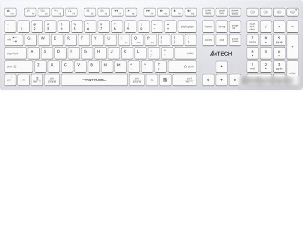 Клавиатура A4Tech Fstyler FBX50C (серебристый/белый)