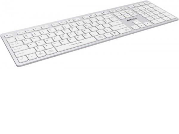 Клавиатура A4Tech Fstyler FBX50C (серебристый/белый)