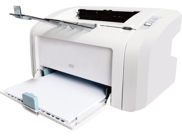 Принтер CACTUS CS-LP1120NWW