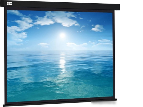 Проекционный экран CACTUS Wallscreen 104x186 CS-PSW-104X186-BK