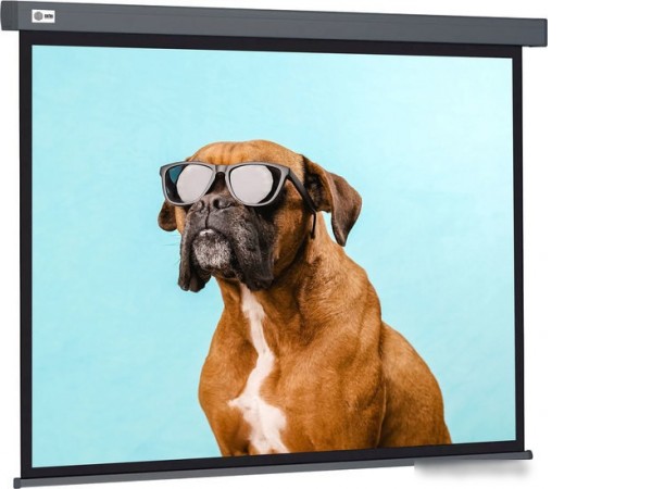 Проекционный экран CACTUS Wallscreen 149x265 CS-PSW-149X265-SG