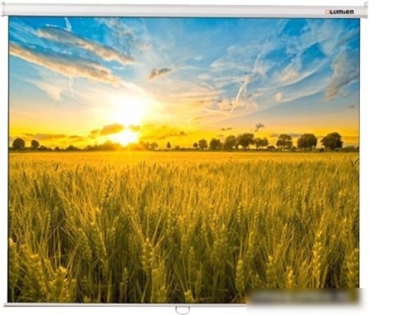 Проекционный экран Lumien Eco Picture 198x300 LEP-100120