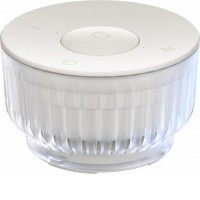 Умная колонка Sber SberBoom Mini 2 (неоновый серый)