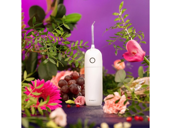 Ирригатор Scarlett SC-WF03