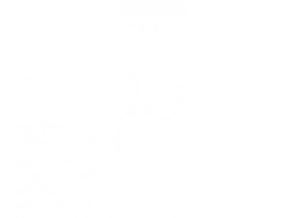 Портативное пусковое устройство Беркут JSL-15000