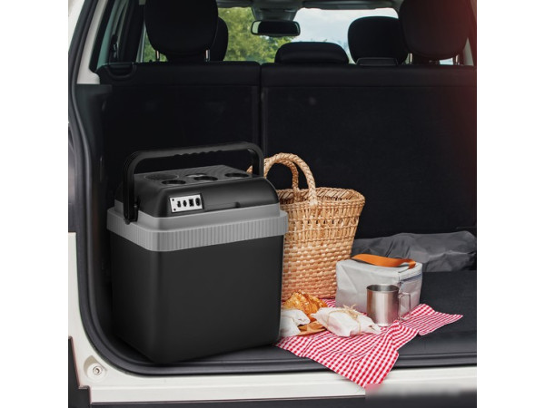 Термоэлектрический автохолодильник Coolfort CF-0233 25л (черный)