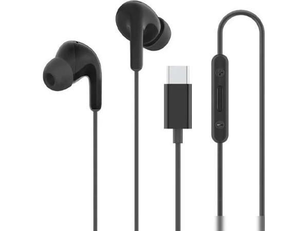 Наушники Xiaomi Type-C Earphones M2413E1 (черный, международная версия)