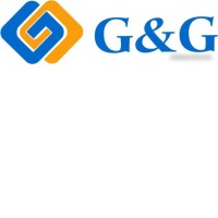 Чернила G&G GG-C13T03V14A