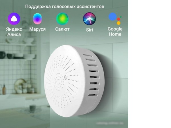 Датчик Digma DiSense G1