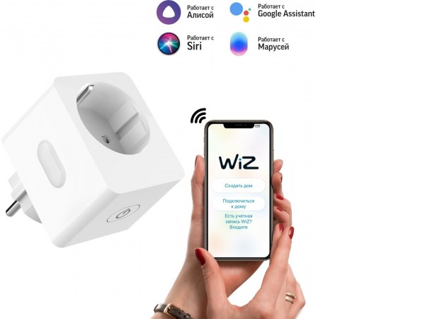 Умная розетка Gauss Smart Home 10A 5510122