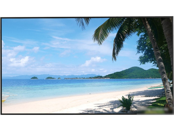 Монитор для камер видеонаблюдения Dahua DHI-LM49-S400