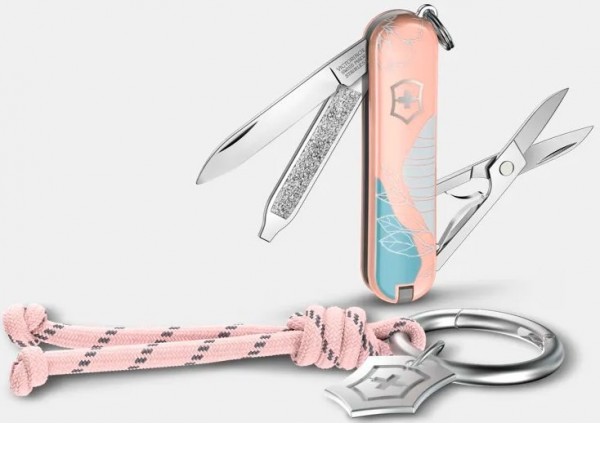 Мультитул Victorinox Classic SD Paris Style 0.6223.E221