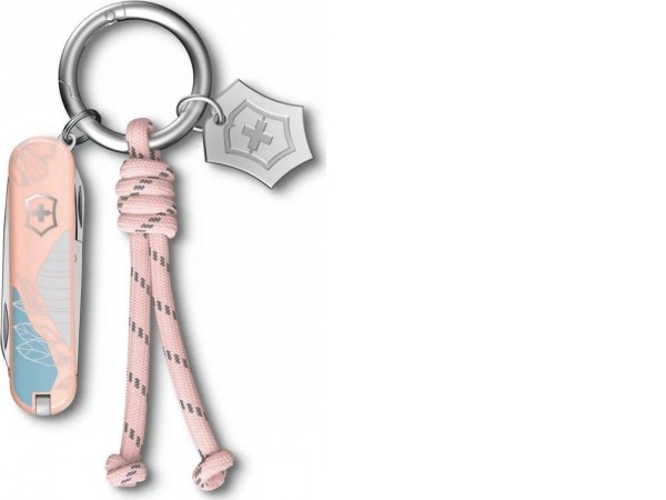 Мультитул Victorinox Classic SD Paris Style 0.6223.E221